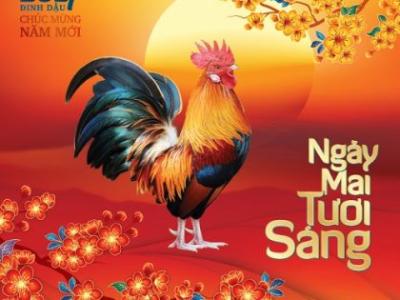 Lịch bloc tiếp tục lên ngôi trong năm 2017