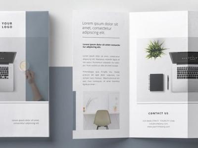 Xu hướng thiết kế Brochure nổi bật hiện nay