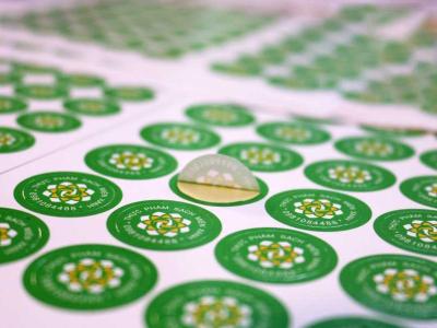 Phân loại đề can (decal) và tư vấn sử dụng đúng cách