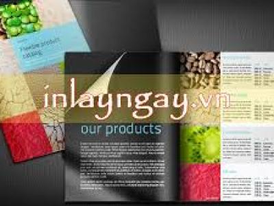 Nhận in catalogue tại xưởng giá rẻ cho công ty và doanh nghiệp