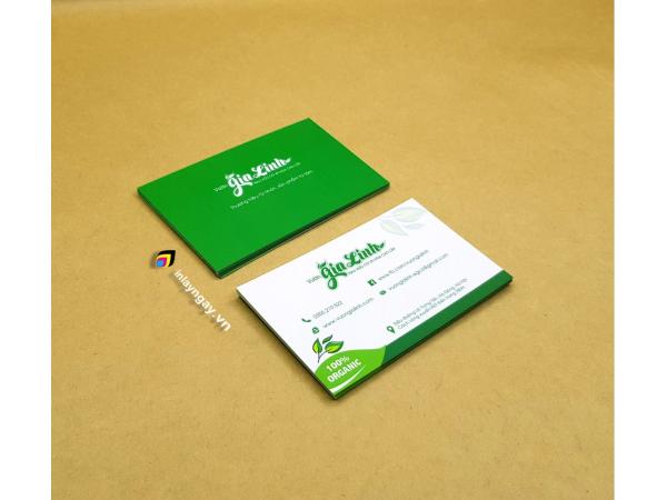 In name card (card visit)