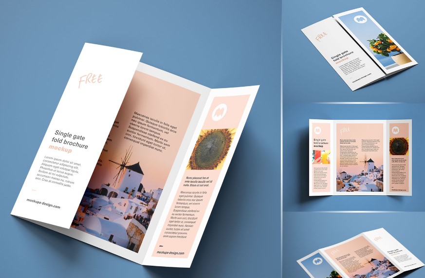 Gate fold brochure